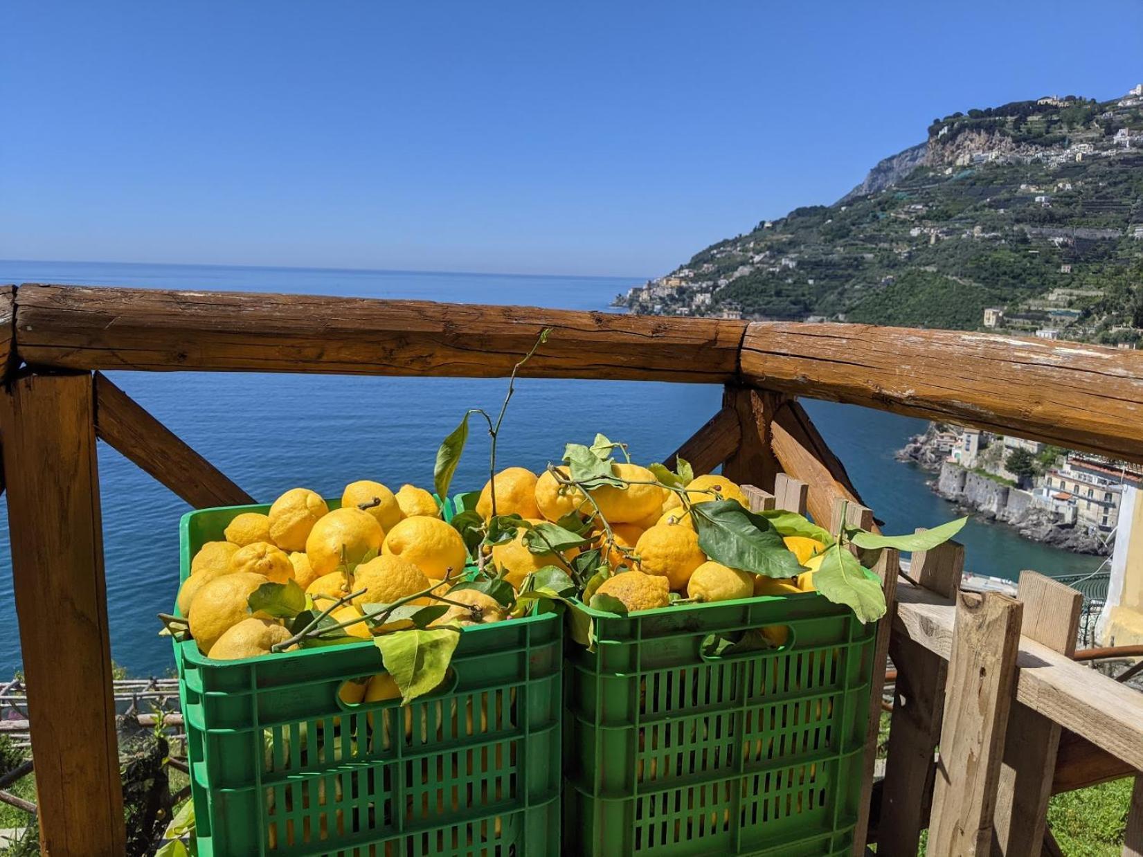 Casa Vacanze Freeholiday House Minori Eksteriør bilde